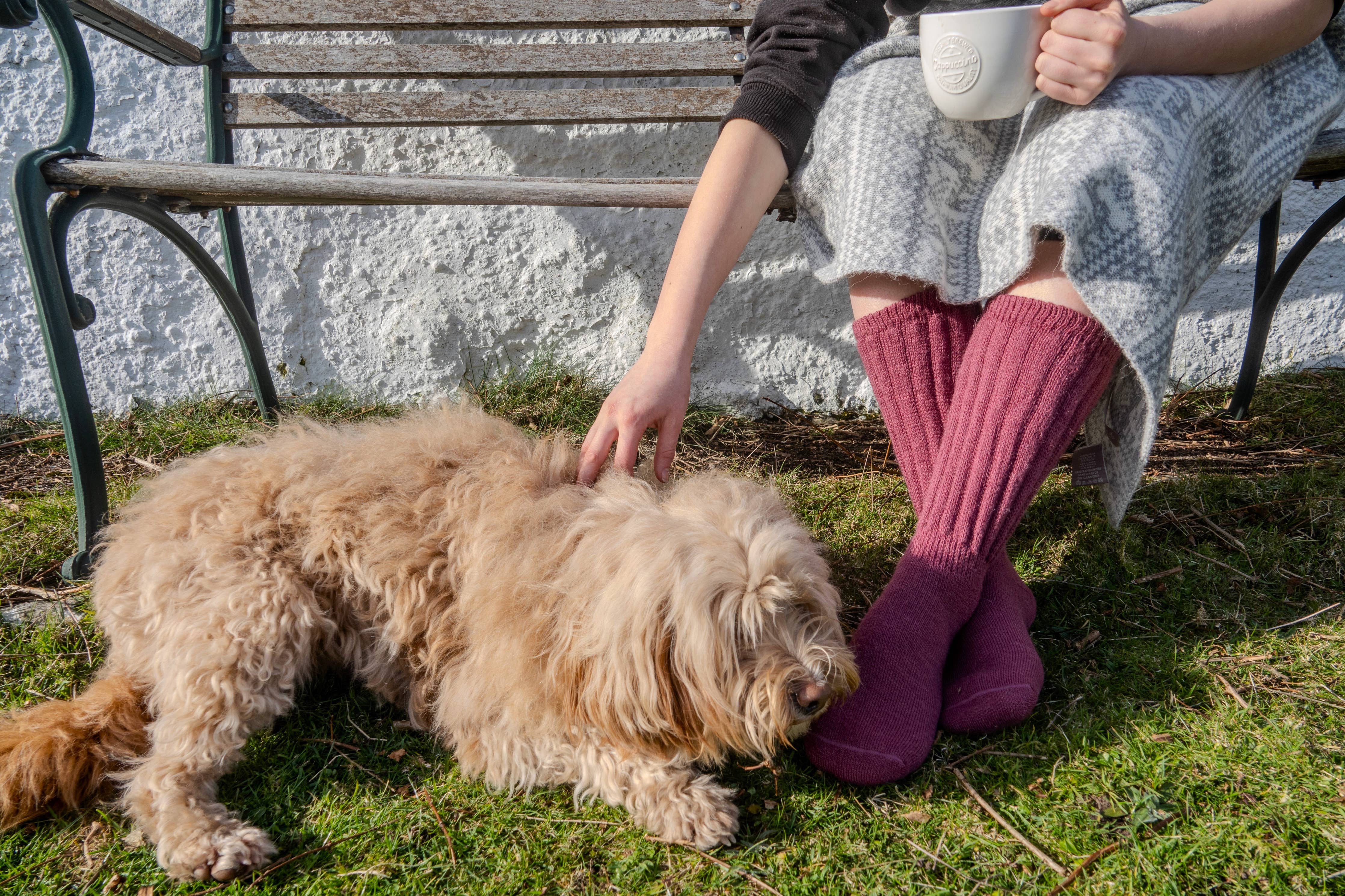 Cosy Alpaca Lounge Socks