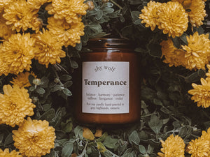 Temperance - Shy Wolf Candle